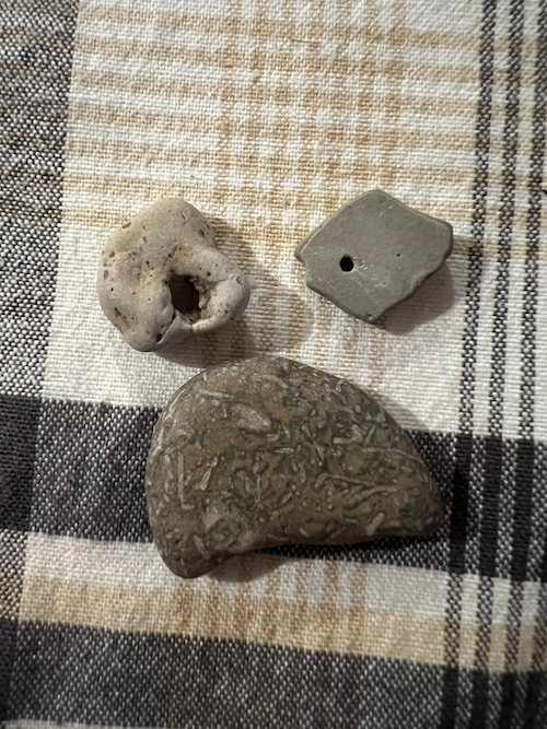 Hagstones and Fossil